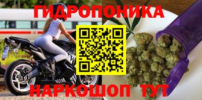 винт Донецк