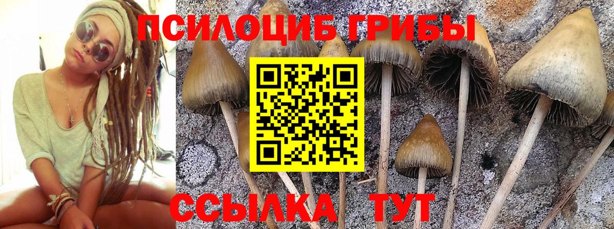 купить наркоту  Вход с VPN  Магадан  Галлюциногенные грибы Magic Shrooms 
